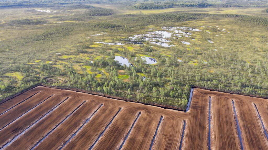 Why the peat ban in the UK is good for the environment