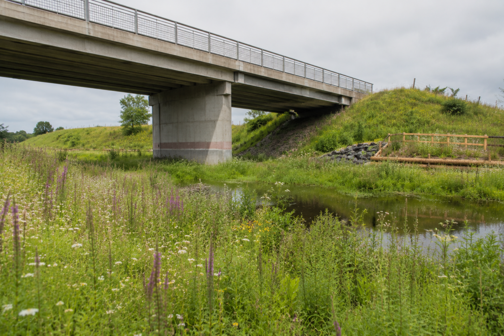 REGENERATIVE INFRASTRUCTURE: CAN ENGINEERING PROJECTS LEAVE LANDSCAPES BETTER THAN BEFORE?