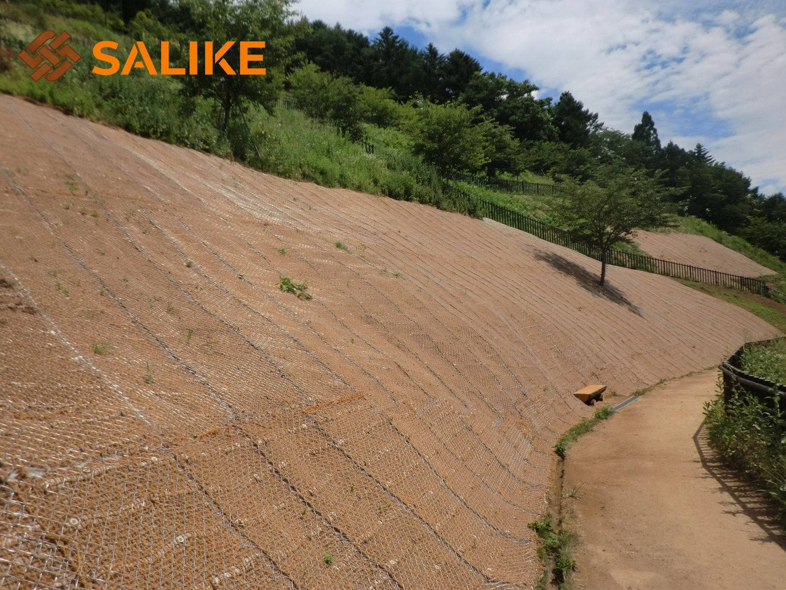 Salike® Positions Itself at the Forefront of Sustainable Geotechnical and Natural Fibre Engineering Solutions in the United Kingdom