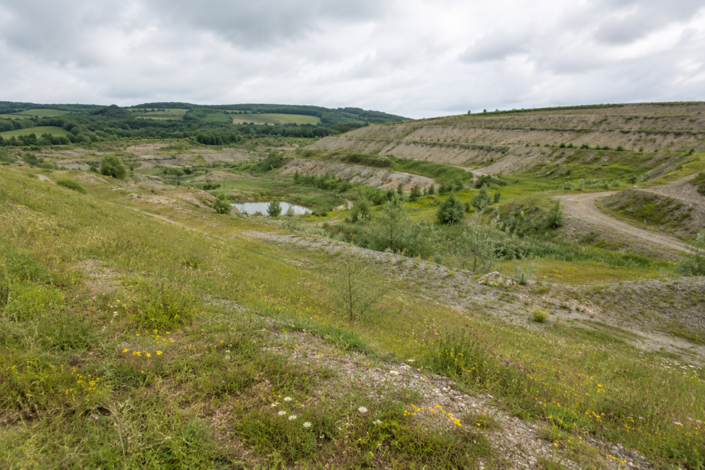 Restoring Damaged Landscapes: The Engineering Role in Land Recovery