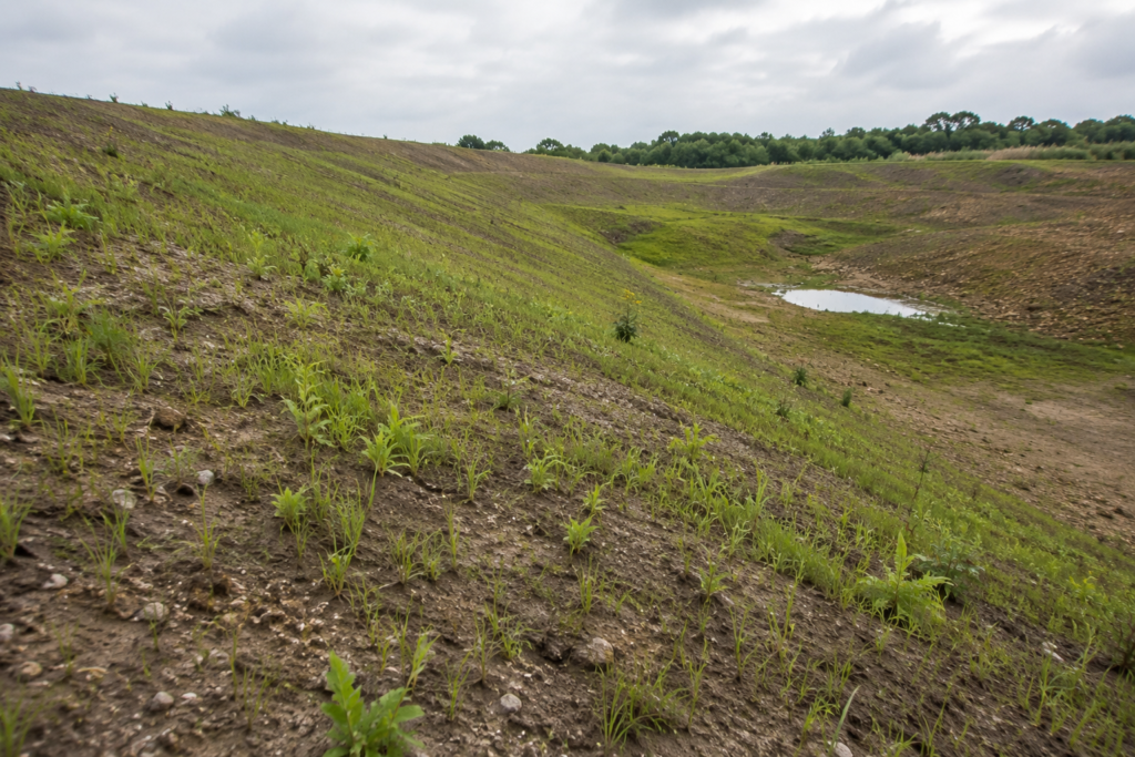 Why Vegetation alone cannot deliver Successful Land Restoration