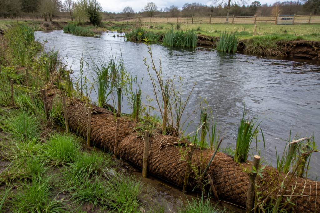 The Growing Role of Soft Engineering in Flood Risk Management