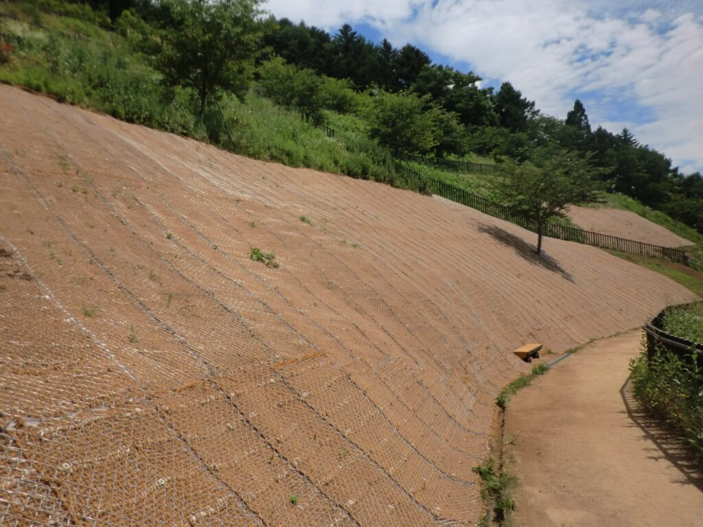 Why Nature-Based Erosion Control is Becoming Mainstream Infrastructure Practice
