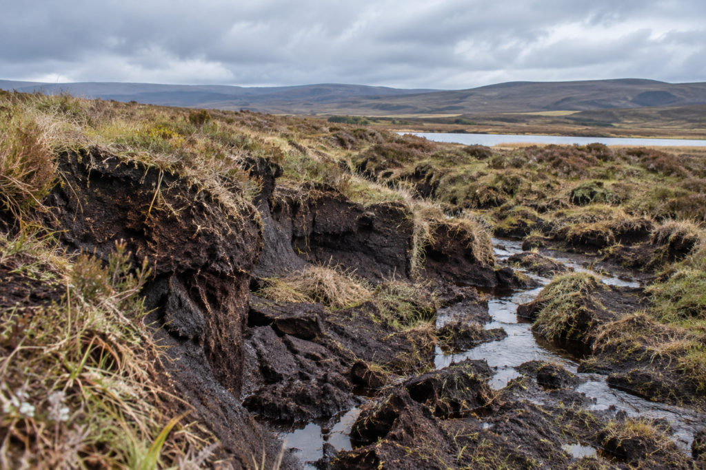 Peatland Restoration is a Geotechnical Challenge too: Managing Water, Erosion and Re-Vegetation on Degraded Peat
