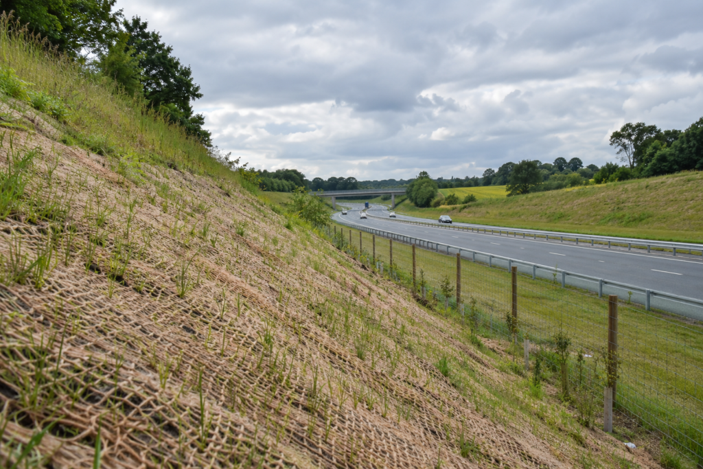 Road Embankments are living assets: Designing erosion protection beyond practical completion